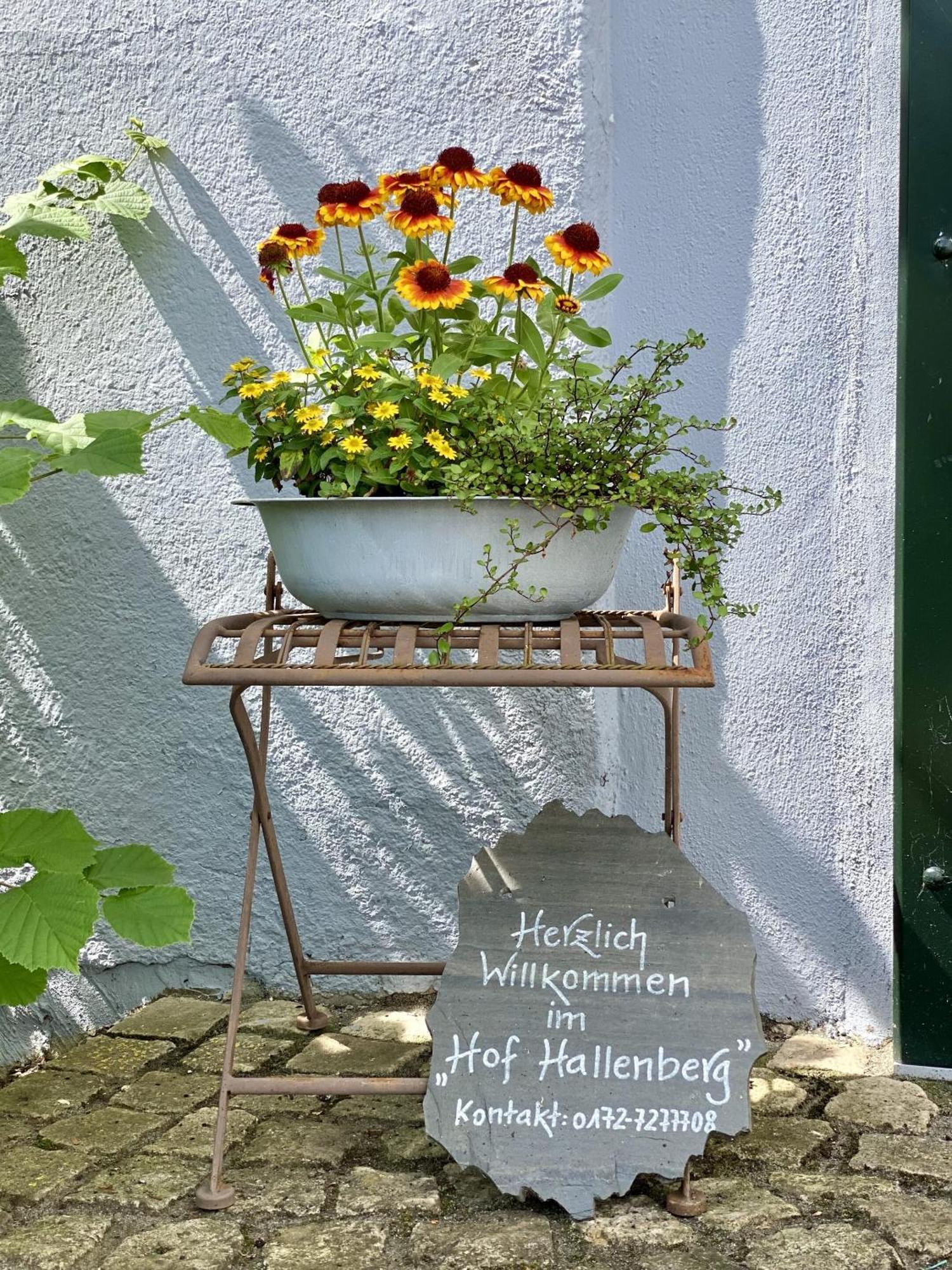 Hof Hallenberg Exterior photo